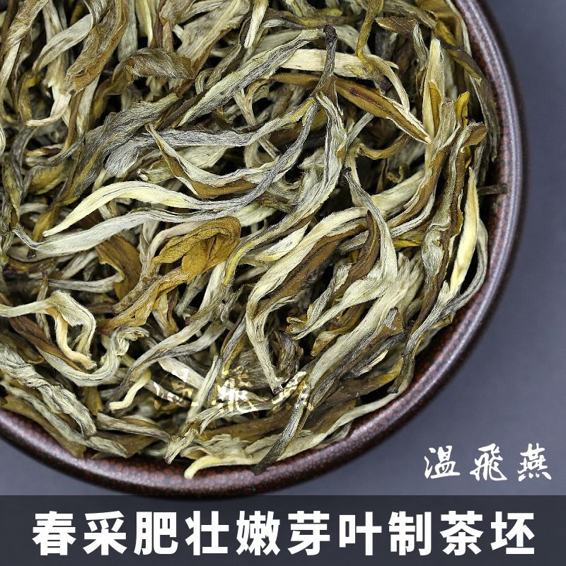 新茶浓香茉莉大白毫特级大龙毫云南茶厂500克温飞燕百号大龙毫500克