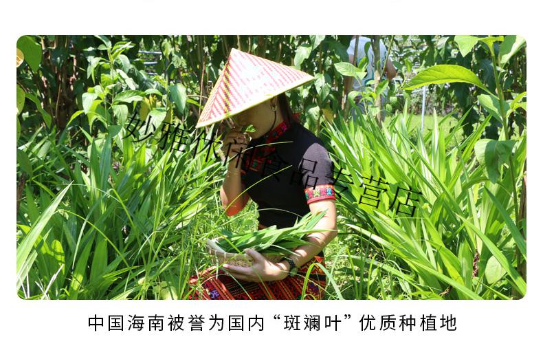 海南五指山特产斑斓叶茶50克香兰叶茶新鲜叶制作茶叶50克斑斓茶1袋