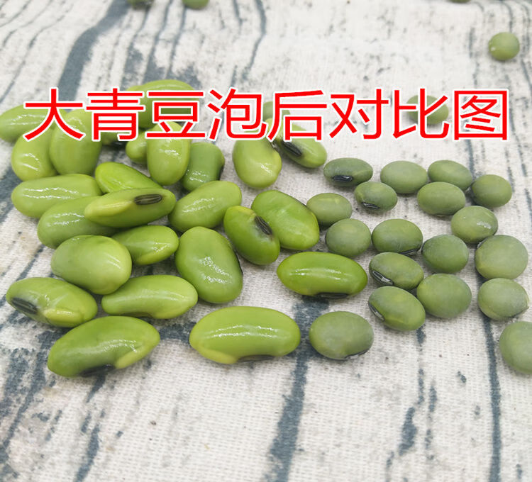 新大青豆250g5斤农家自种青大豆干青豆绿大豆青皮青仁大黄豆优质大