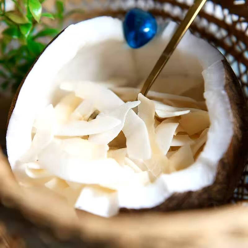 椰子片香脆原味海南特产碳烤椰肉烘焙干吃水果干休闲零食椰子丝500g1
