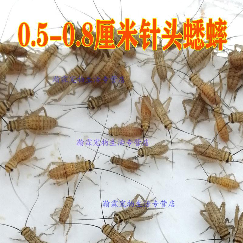 70a84d2e07928e34.jpg
