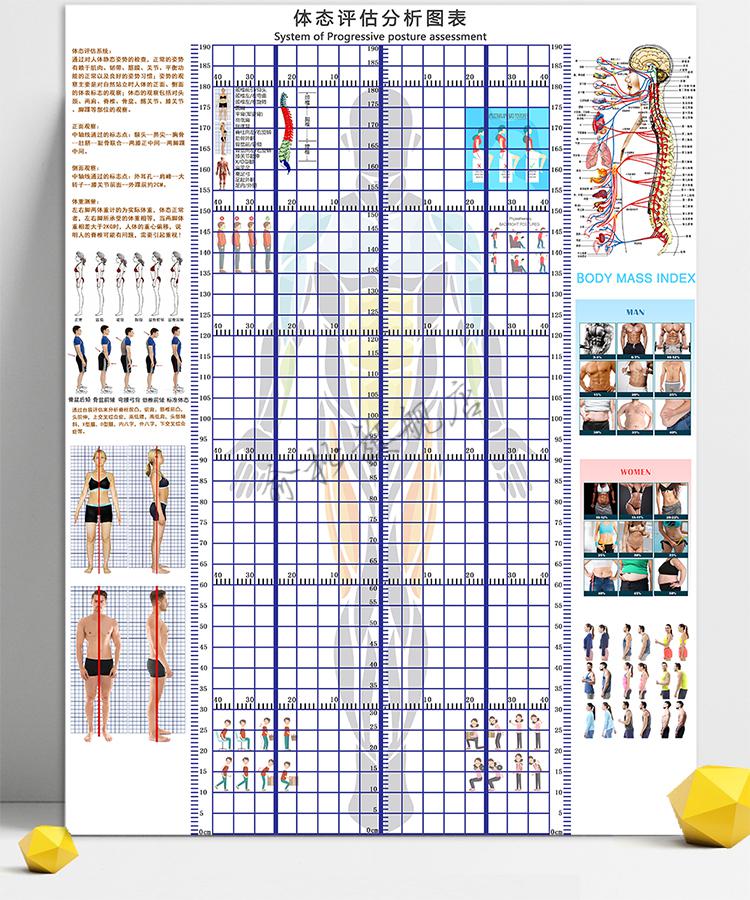 体态评估网格图体态评估表挂式贴式体测健身房瑜伽馆私教身高臂展网格