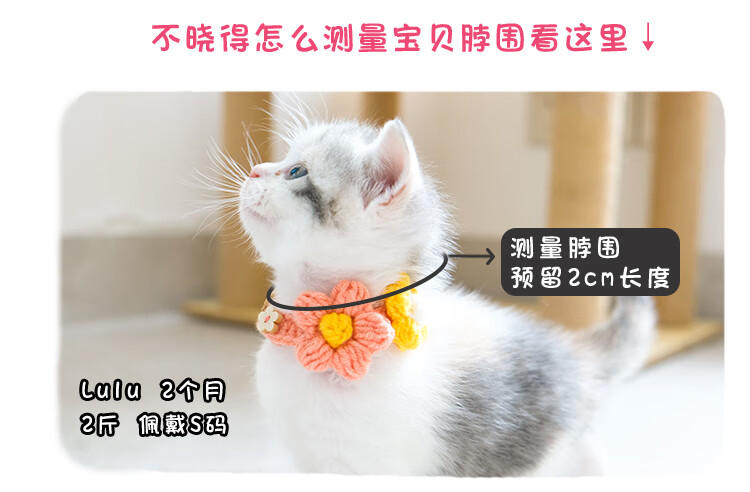 猫咪项圈可调节手工针织脖圈小猫狗狗围脖颈圈可爱卡通宠物猫项链