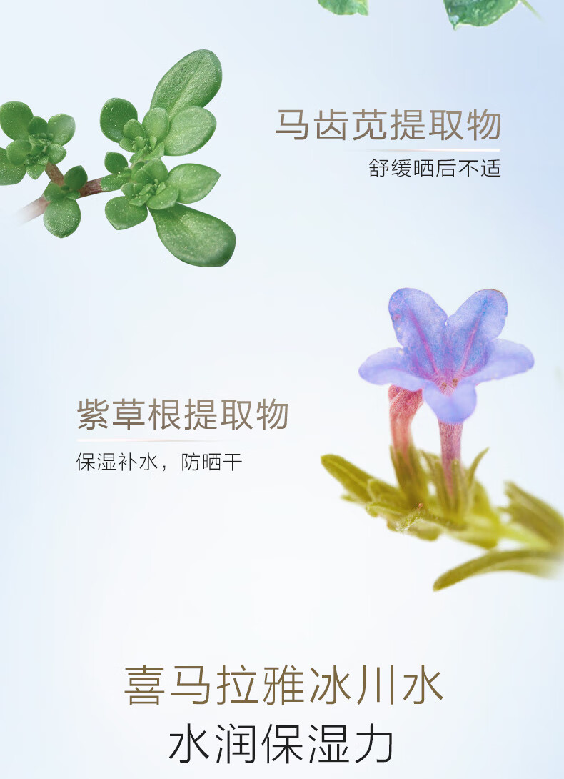 自然堂防晒霜乳妆前隔离小金伞清爽保湿养肤烈日防水防汗遮瑕控油 多重防晒隔离霜30ml淡绿色