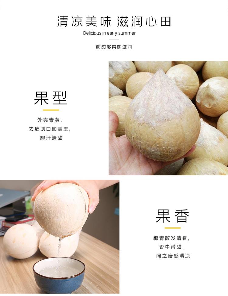 素界泰国奶椰椰青 新鲜椰子去皮泰鲜园小奶椰海南新鲜孕妇热带水果 10