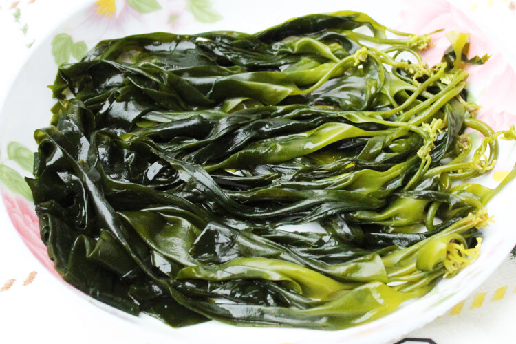 5折 小海带苗嫩新鲜霞浦嫩海带芽凉拌菜海带薄嫩三秒火锅食材