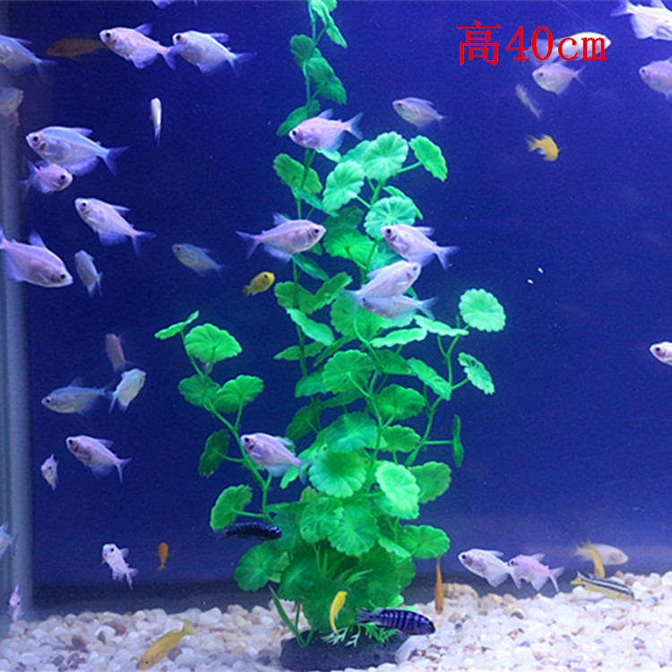 鱼缸里的仿真水草鱼缸海草活的鱼缸里放的鱼草鱼缸内水生植物水下大号