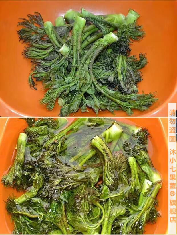 【顺丰】刺老芽新鲜刺嫩芽 包楞1000g东北特产美食蘸酱菜龙芽菜现摘现