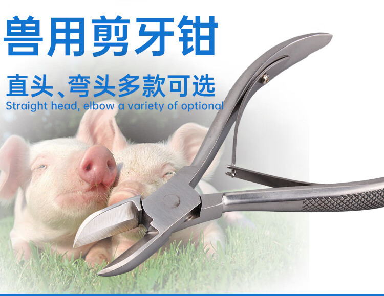 克笛铭耐尔尼不锈钢仔猪剪牙钳小猪兔断牙钳猪用剪猪牙钳子兽用剪齿钳