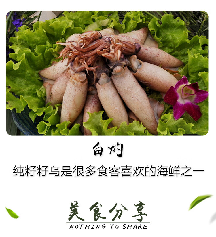 海兔带籽籽乌熟冻笔管鱼红烧爆炒香辣即食海鲜水产美人觉醒2盒籽26只