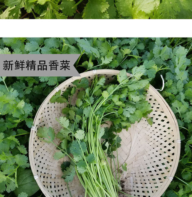 更多参数>类别:香菜烹饪建议:火锅包装形式:礼盒装净重:1000g及以上