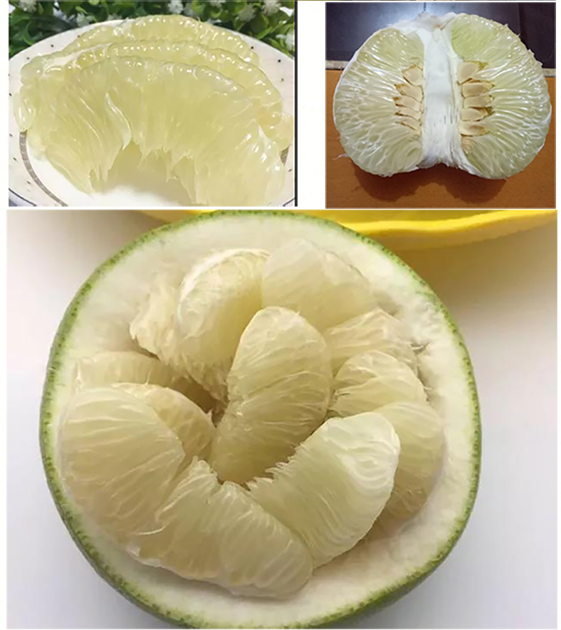 雪峰安江老树冰糖柚子新鲜水果怀化小苦柚5斤柚香甜柚10斤大果精选大