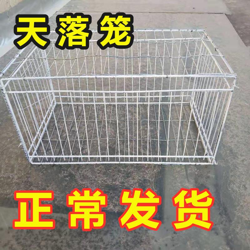 收鸽笼子鸽子用品用具天落笼大号鸡笼家用养殖运输自动折叠网笼子