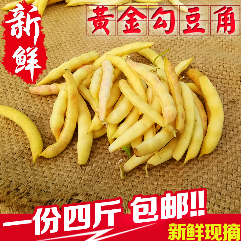 顺丰东北黄金勾油豆角钩豆角新鲜鼓豆角勾勾黄豆角兔子翻白眼4斤水果