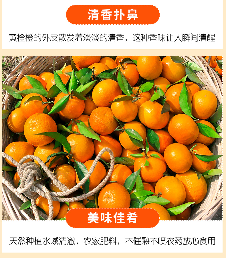 新鲜香妃柑5斤广西武鸣沃柑橘子当季整箱孕妇水果 10斤