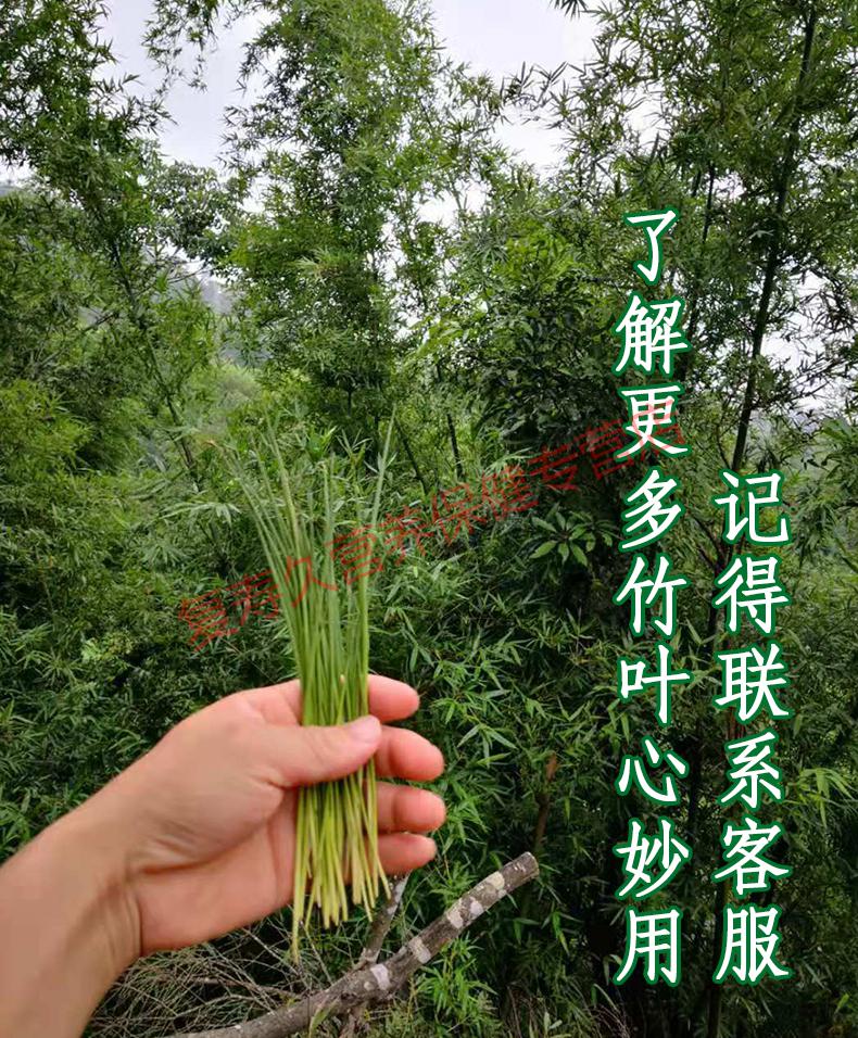 康中尊 现采野生竹叶芯竹叶心天然竹心嫩芽竹芯竹卷心