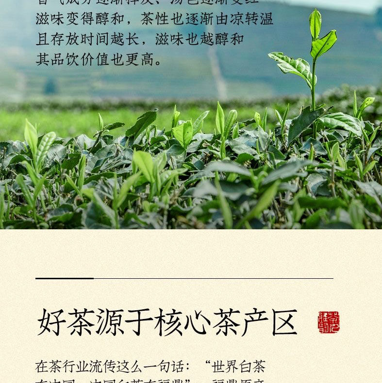 白茶散茶寿眉正宗陈年老白茶2016点头镇高山产区口粮茶 老白茶250克