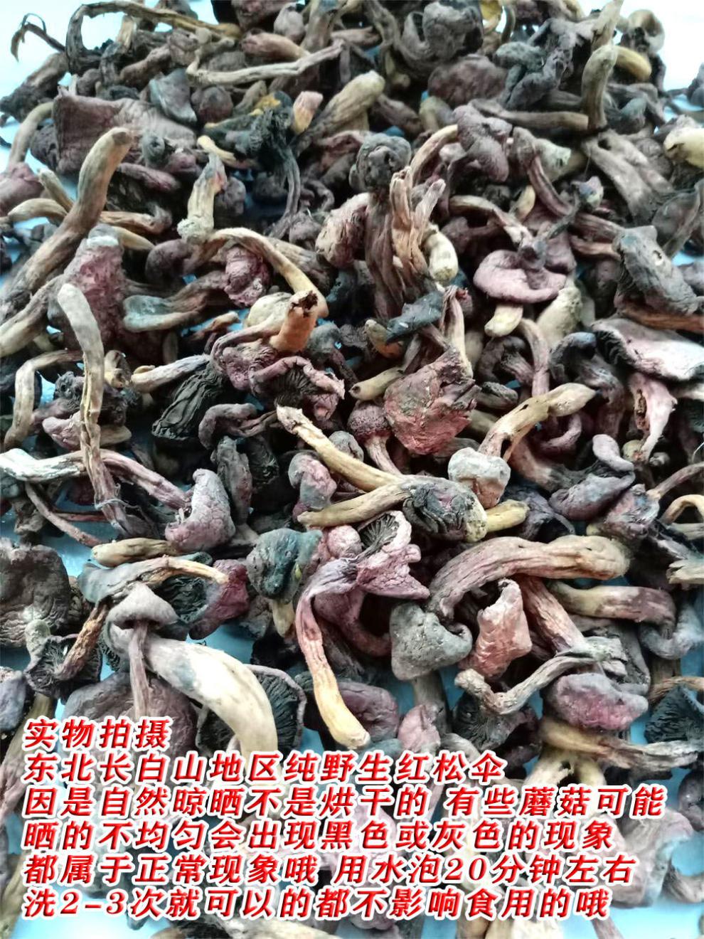 东北特产红蘑长白山纯野红松伞菇新货菌菇干货野松树蘑菇钉一件100克