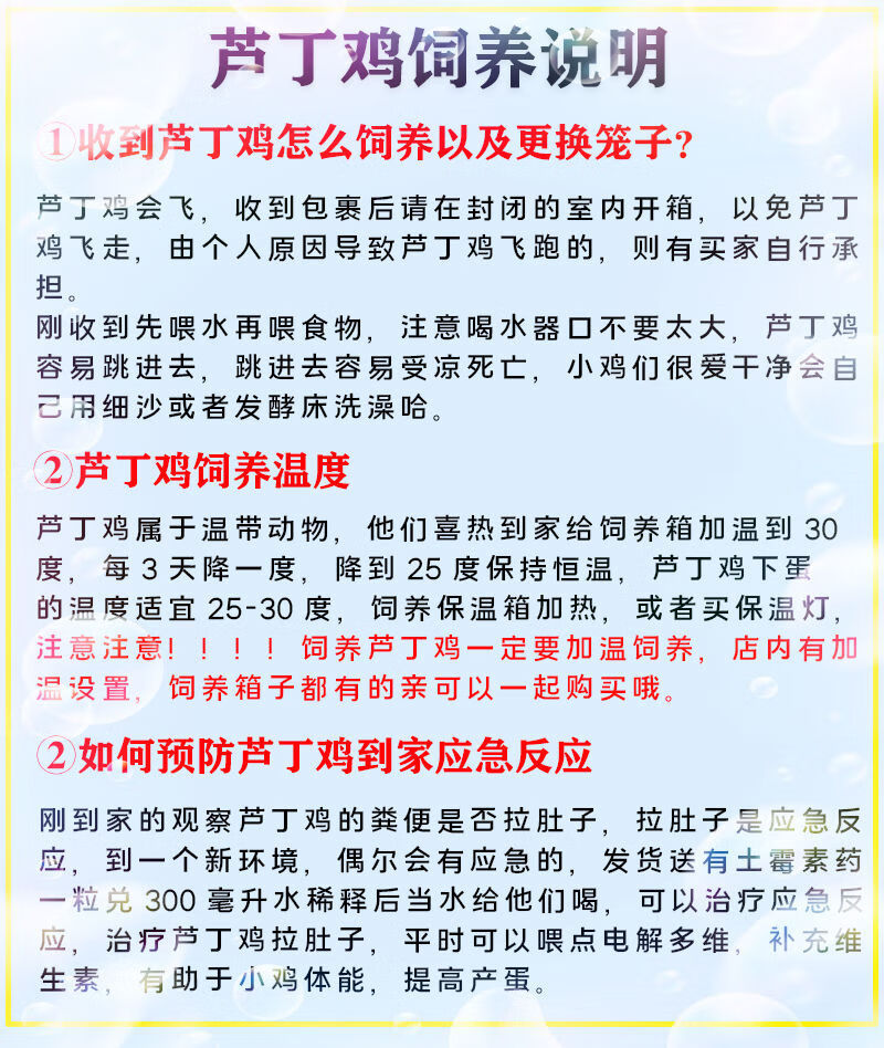 芦丁鸡活物宠物鸡迷你小鸡下蛋高手萌宠迷你鸡礼服瓦灰驼色全系活原色