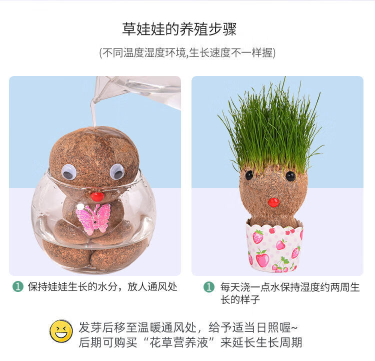 可爱迷你小植物盆栽幼儿园礼品水培观察植栽室内趣味种植草头娃娃3个