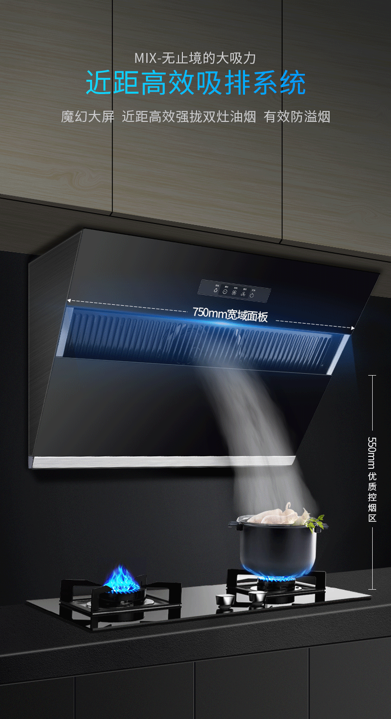 樱雪(inse)油烟机 19m爆炒 抽油烟机侧吸 大吸力家用小户型精品钢化