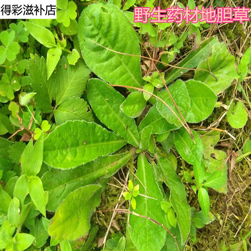 康中尊野生药材地胆草草鞋根草鞋底磨地胆理肺散牛吃埔牛托鼻毛刷子干