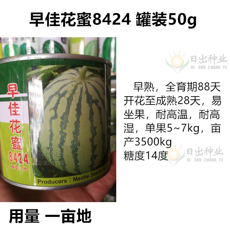 西瓜种子高产甜早熟8424早佳冰糖麒麟王京欣西农八号懒汉特大巨型深