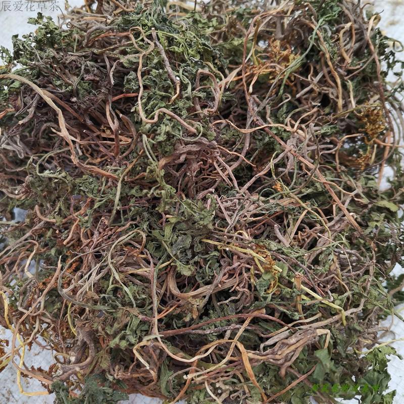 蛇不见50g凉草去毒草小春花阴地蕨良枝草福建屏南青草药膳