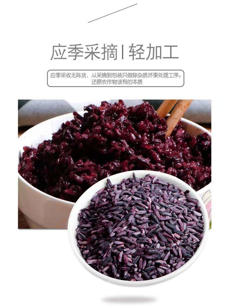 云南紫米墨江紫糯米农家自种紫糯米血糯米20年新米糯香米紫糯米3斤装