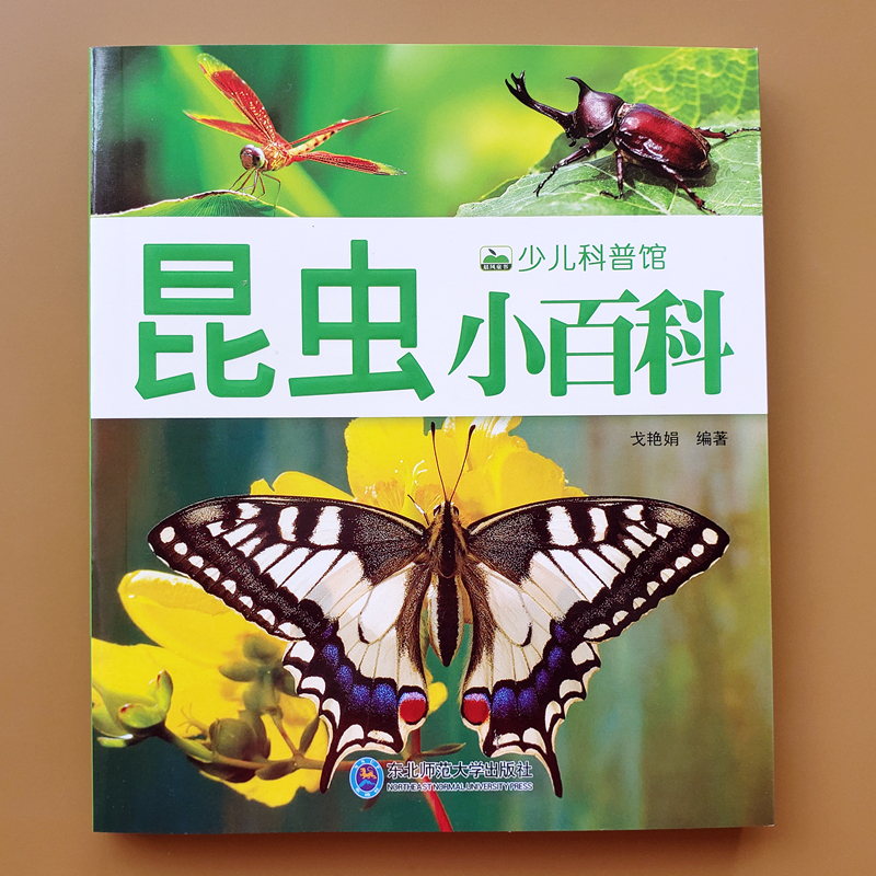 蝴蝶知识小百科虫虫书大全宝宝认知儿童关于昆虫的书图片图鉴小学生