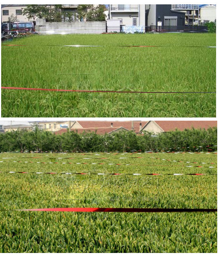 aseblarm驱鸟彩带果园驱鸟带警示反光带农田赶鸟防鸟闪光带子彩条红银