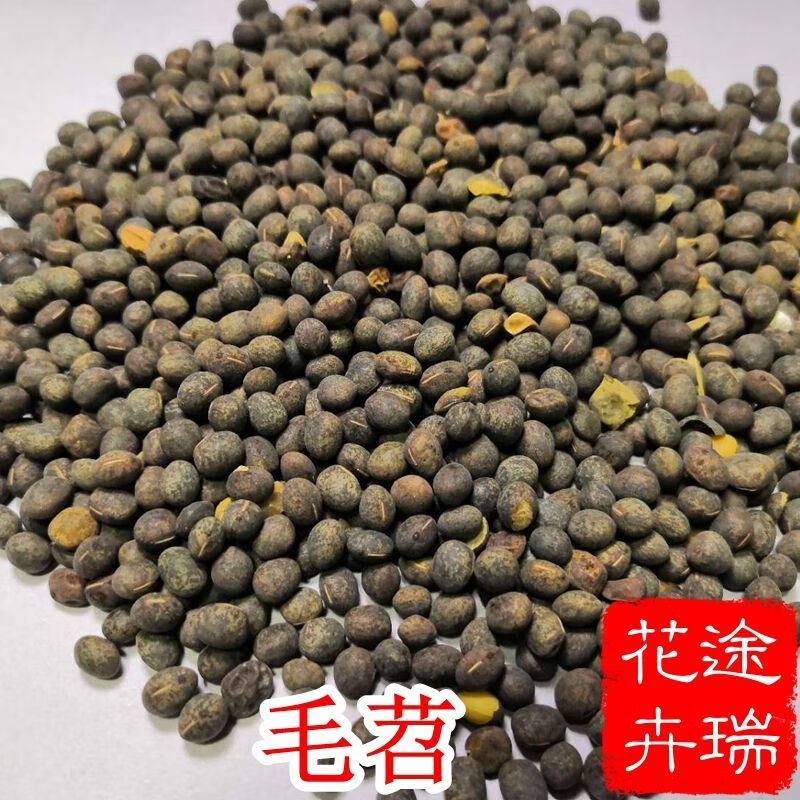 梦里丹光叶紫花苕种子毛苕种子箭舌豌豆种子果园绿肥牧草饲料种蜜源