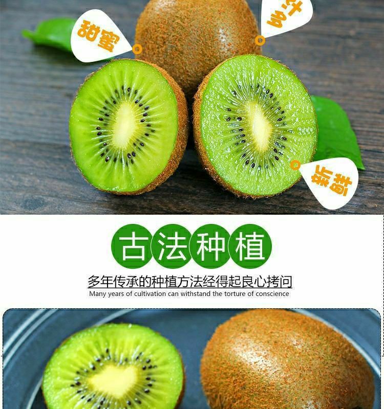 年货精选正宗湘西绿心猕猴桃新鲜富硒奇异果孕妇现摘当季水果弥猴桃59