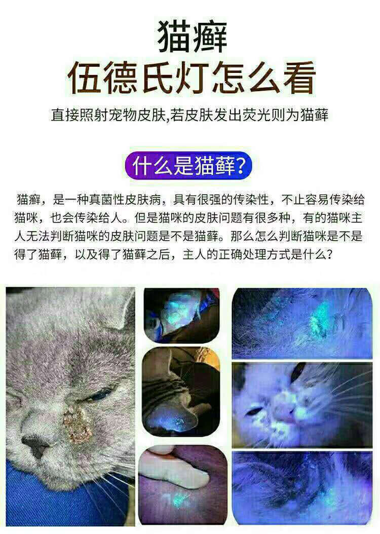 伍德氏灯照猫藓灯宠物真菌检测手电筒紫外线荧光剂紫光灯伍德式黑镜uv