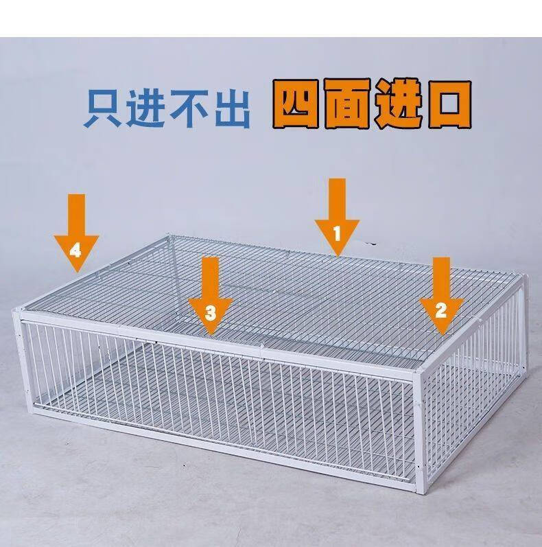 逮鸟网粘捕鸽具神器抓鸽子笼全自动户外天落笼铁加密只进不出连续j55