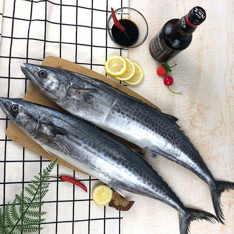 棠鲜生生鲜新鲜大鲅鱼马鲛鱼新鲜海鱼鲅鱼馅饺子海鲜水产整条鲅鱼5斤