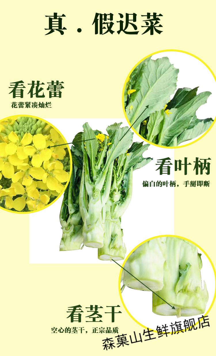 顺丰礼盒装增城迟菜心新鲜迟菜心现摘现发高脚菜心广东蔬菜8斤礼盒装