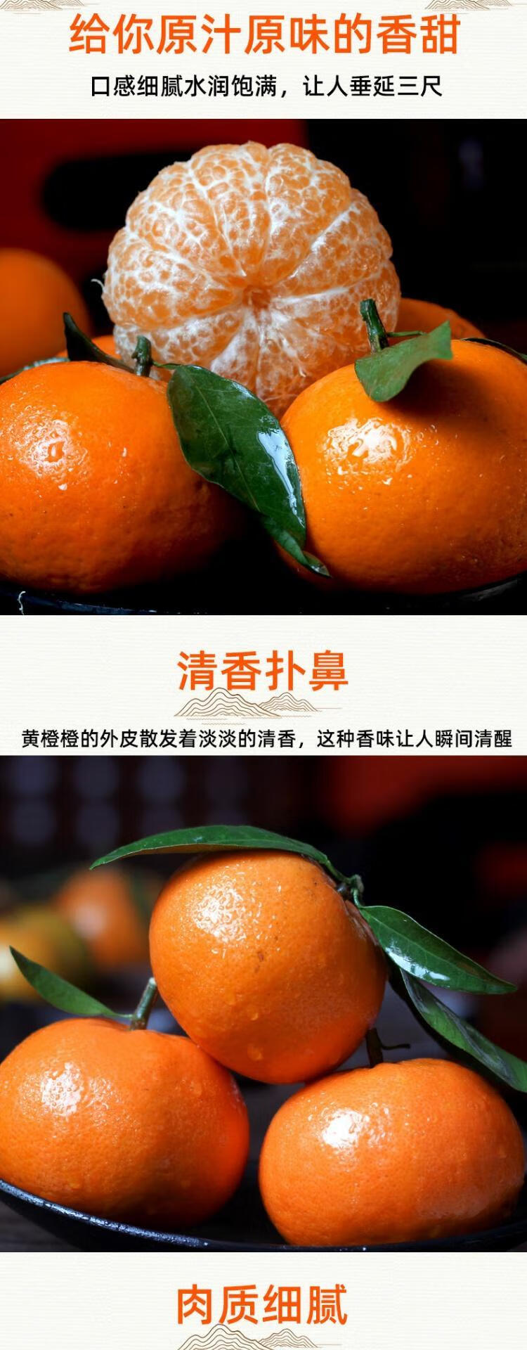 沃柑香妃柑橘一级大果特级精品广西武鸣10斤新鲜砂糖橘水果橘子皇大果