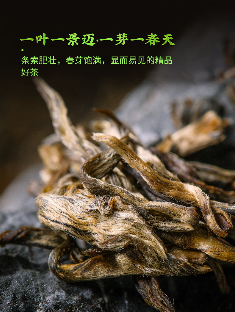 5折顺丰澜沧古茶2021年001景迈古树茶普洱生茶云南茶叶400g400g