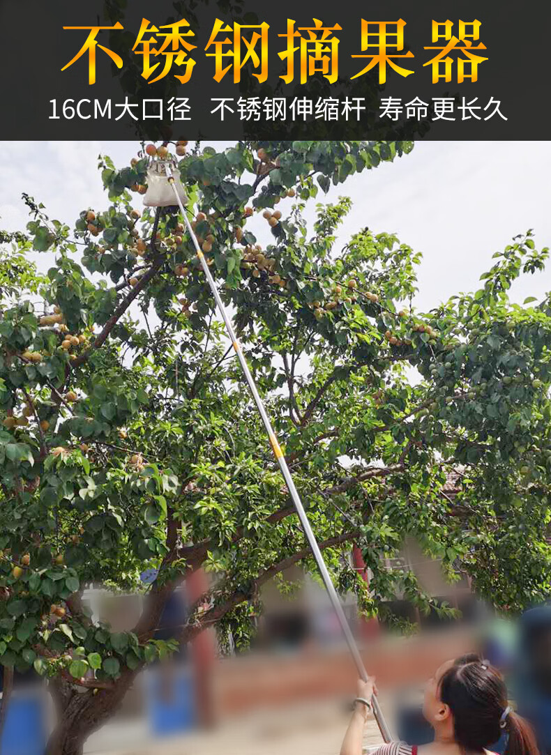 摘芒果神器不锈钢摘果器枇杷枣柿子杨梅高空摘果器碳素多功能采摘水果