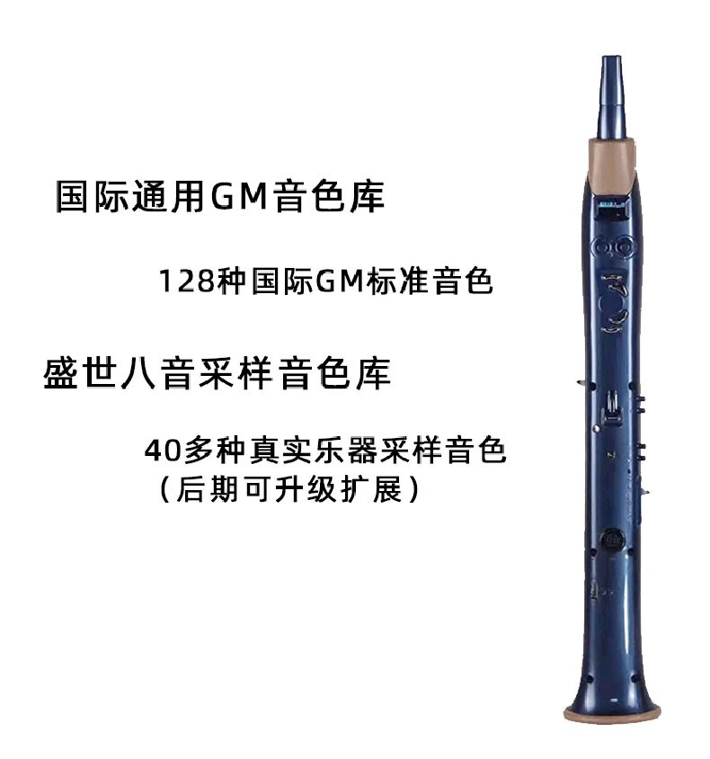 盛世八音2021新款国产电吹管乐器大全老人礼物初学者电音管电萨克斯