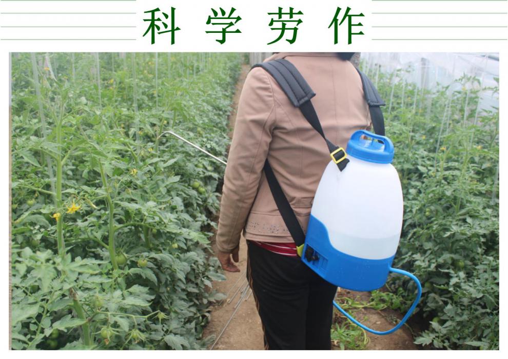 点花器 番茄西红柿电动喷花器授粉器黄瓜点花器大棚樱桃授粉葡萄拉花