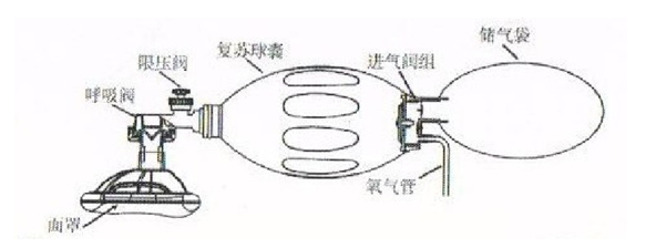 简易呼吸气囊面罩人工复苏器急救苏醒球急救气囊台湾彦大硅胶球囊面罩