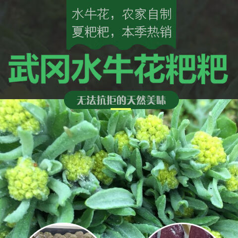 武冈水牛花粑粑湖南武冈特产农家自制纯手工水牛花粑粑夏粑水牛花粑粑