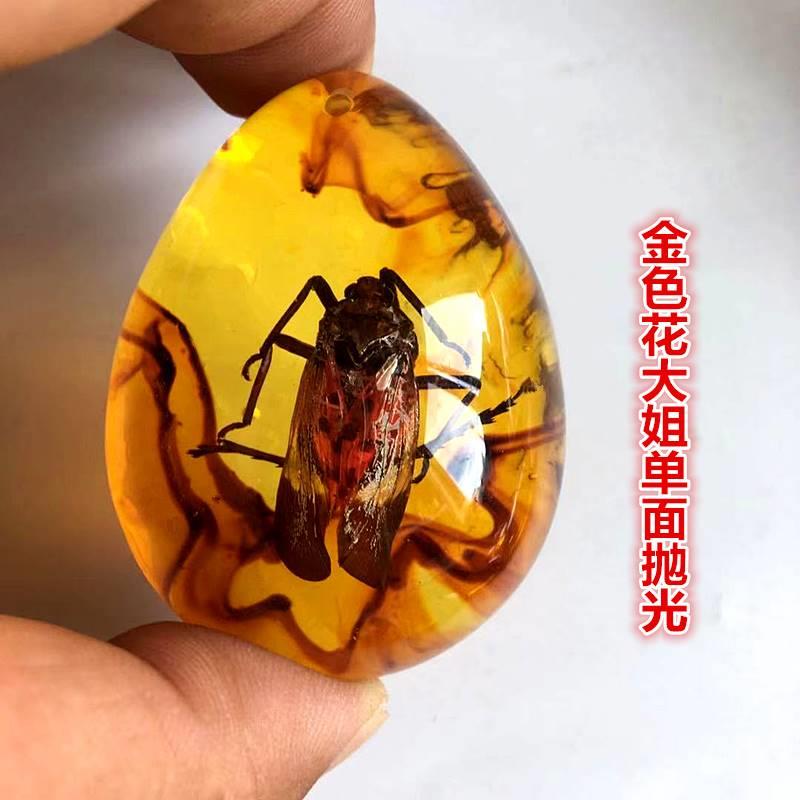 宾昔琥珀昆虫标本真昆虫标本人工虫珀蝎子蝴蝶蜘蛛吊坠项链学生钥金色