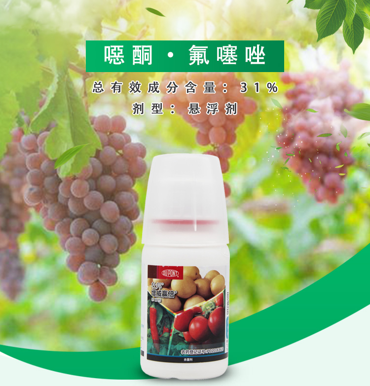 杜邦 增威赢倍 31%恶酮·氟噻唑番茄霜霉病早疫病晚疫病剂 100ml