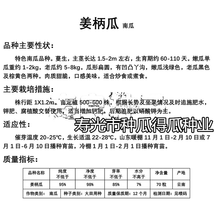 姜柄瓜南瓜种子甜面南瓜种籽云南特菜特产基地四季大田蔬菜种孑绿姜柄