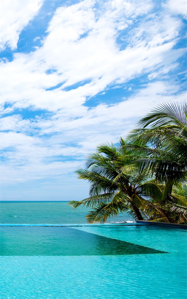 官方旗舰品牌店同款3d立体直播背景布大海沙滩蓝天白云海边椰树风景