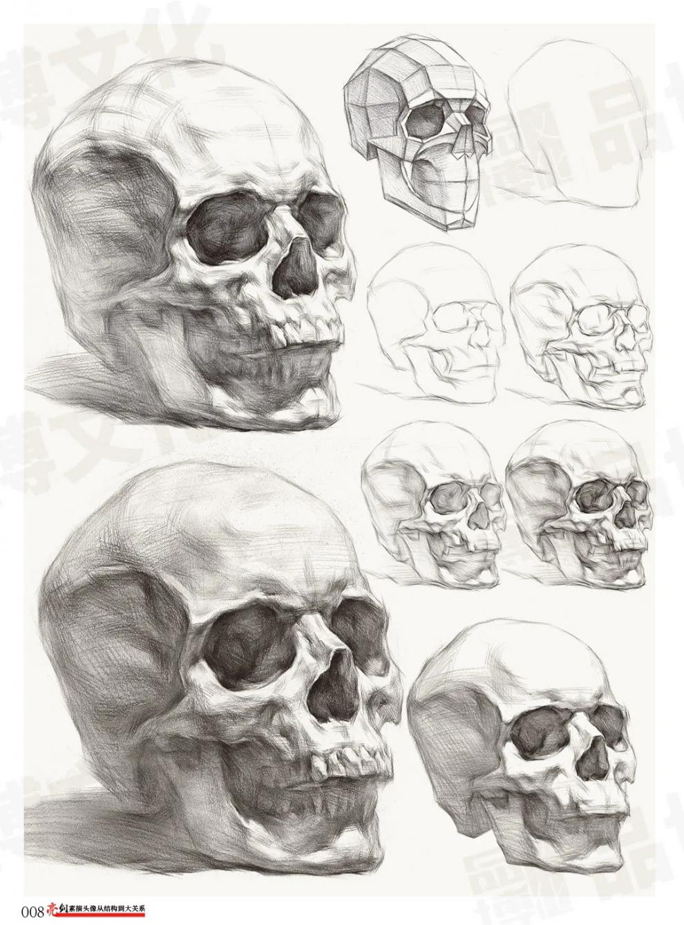 博文化基础理论知识讲解石膏像半身像人体头骨头肌五官绘画步骤解析训