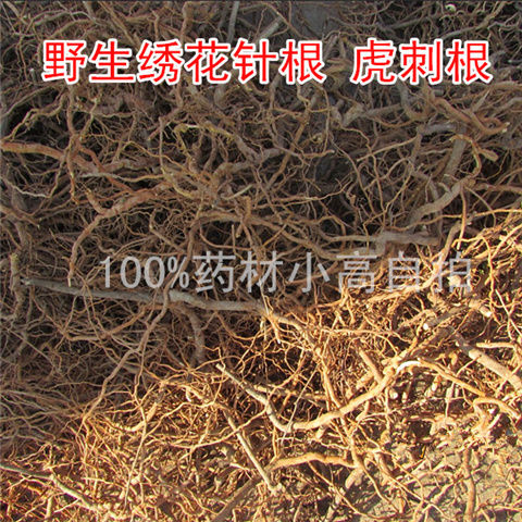 老虎刺虎刺根 老鼠刺 绣花针根 伏牛花根 干品 500克【图片 价格 品牌